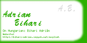 adrian bihari business card