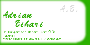 adrian bihari business card